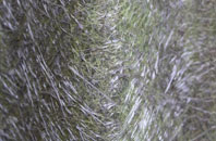 Suffield fibreglass roof work